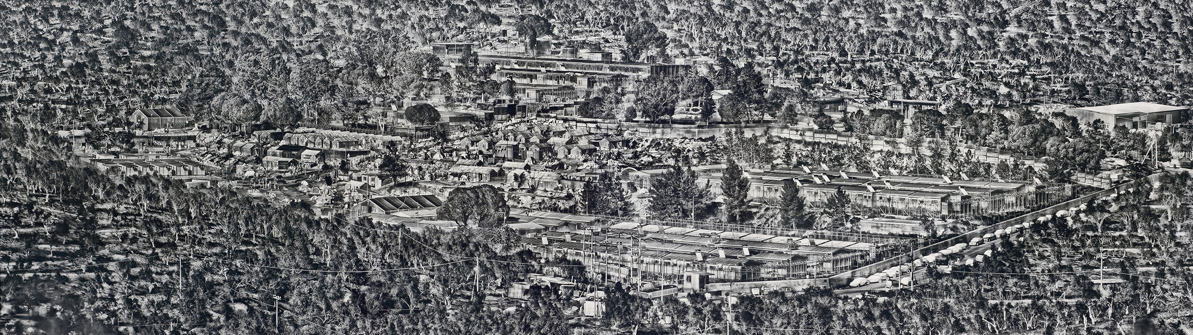 richard mosse moria camp